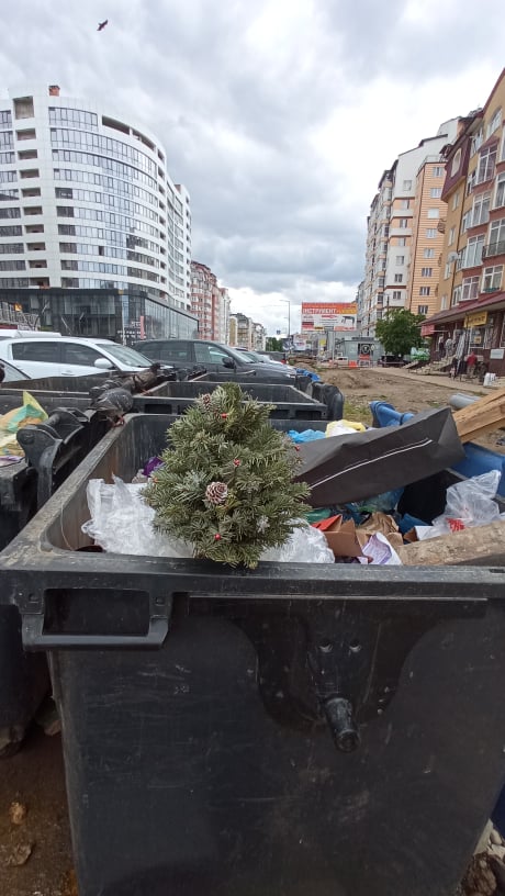 В первый день лета житель Ивано-Франковска вынес на помойку новогоднюю елку