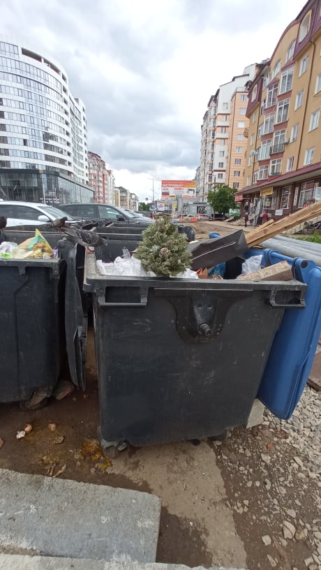 В первый день лета житель Ивано-Франковска вынес на помойку новогоднюю елку