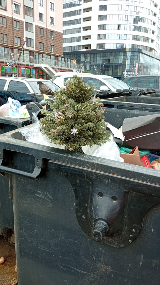 В первый день лета житель Ивано-Франковска вынес на помойку новогоднюю елку