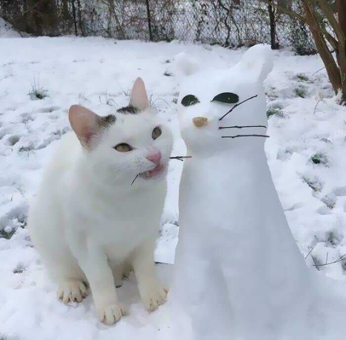 Котейки, которые внезапно сломались и требуют ремонта