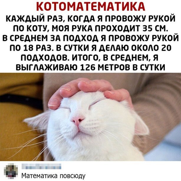 Подборка смешных и прикольных картинок, которые создали пользователи сети. ФОТО