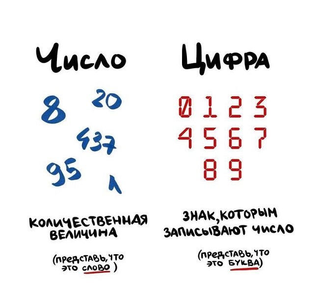 Забавные подсказки о вещах и понятиях, которые люди часто путают