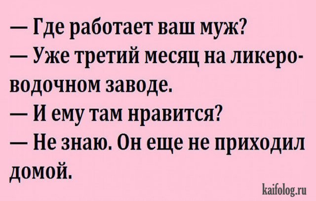 Подборка анекдотов для настроения. ФОТО