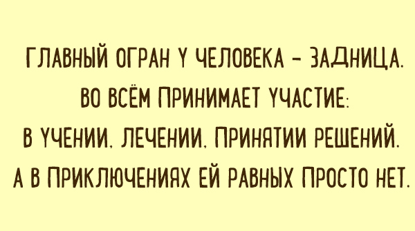 Подборка веселых и правдоподобных карточек