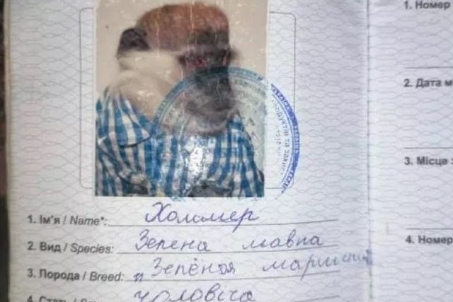 В Ирпене фотографу помогала обезьяна с паспортом. ФОТО