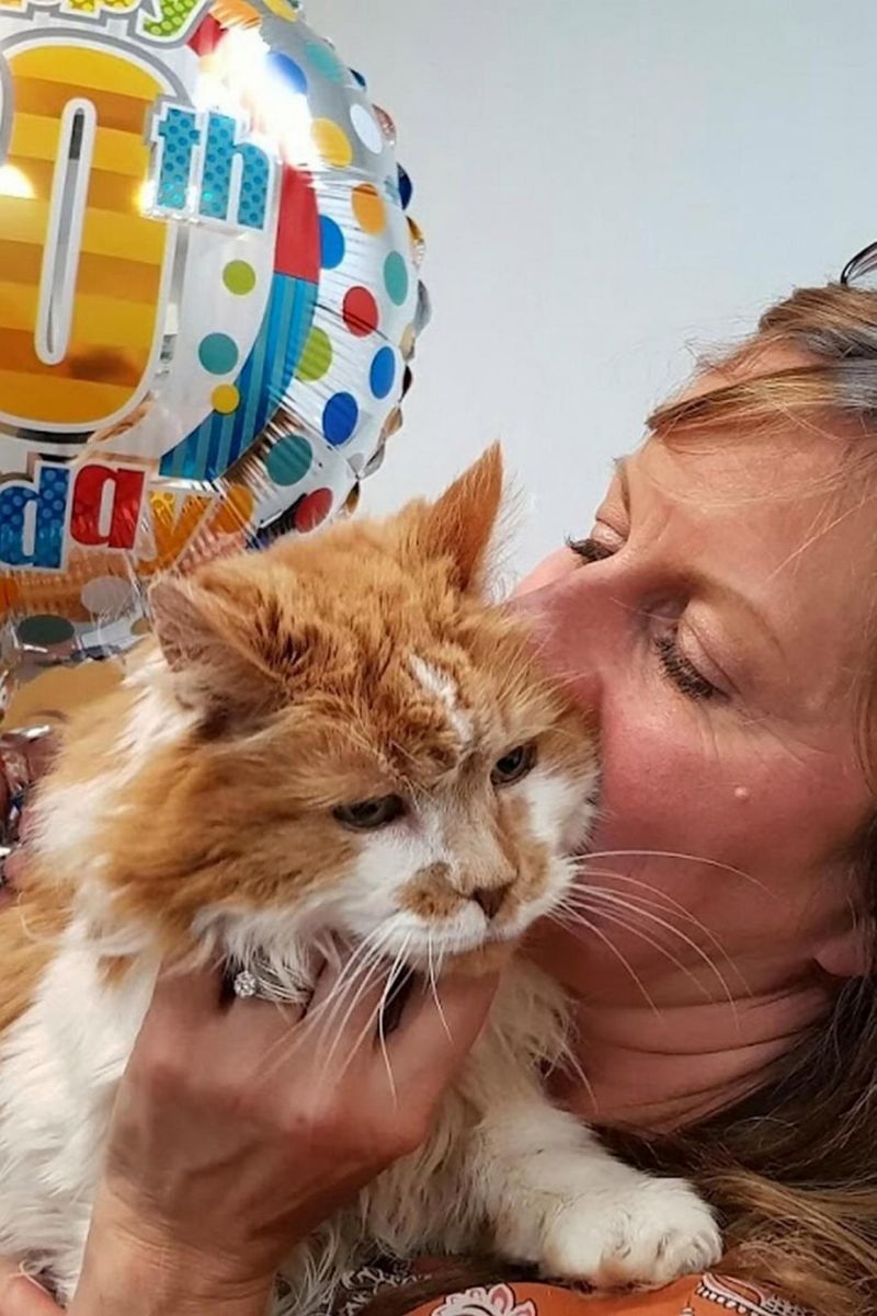 Кот-долгожитель отпраздновал свое 30-летие