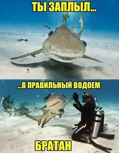 Фотоприколы в ассортименте