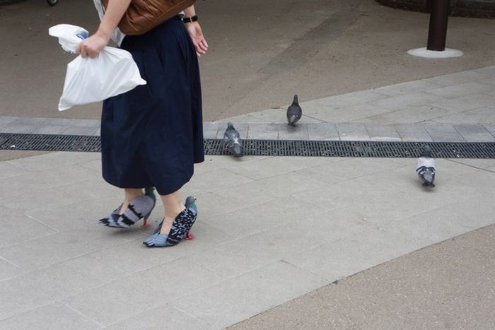 Туфли в виде голубей из Японии