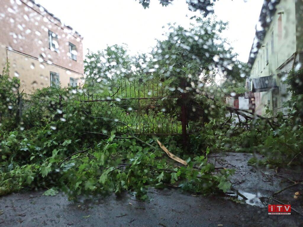 В Сети показали последствия урагана в Ровно. Фото