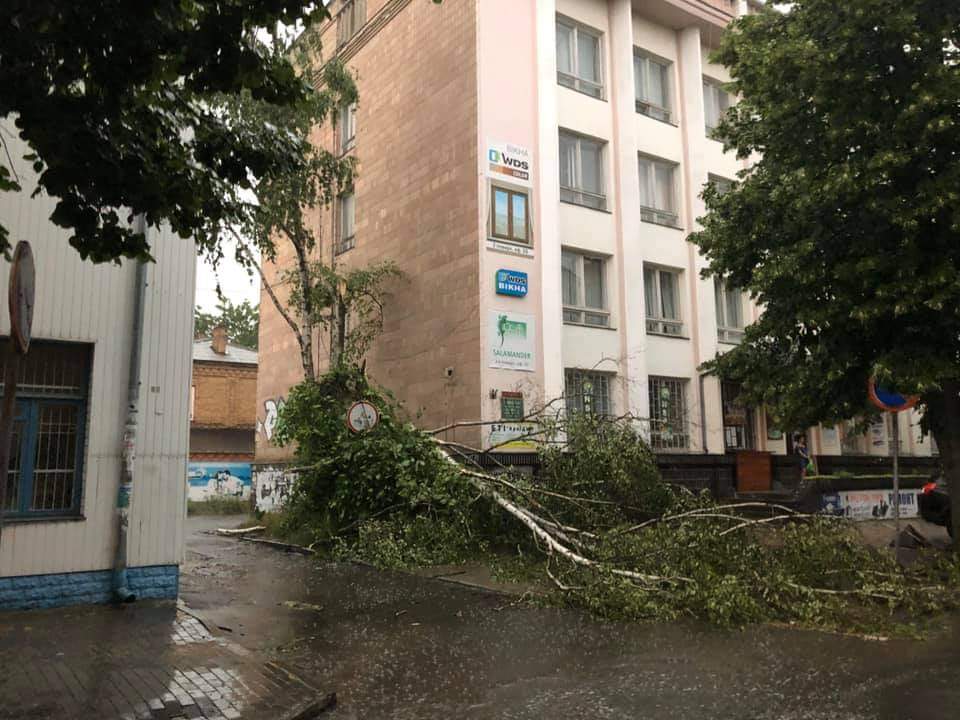 В Сети показали последствия урагана в Ровно. Фото