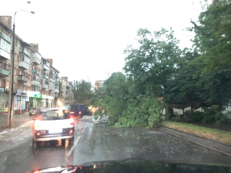 В Сети показали последствия урагана в Ровно. Фото