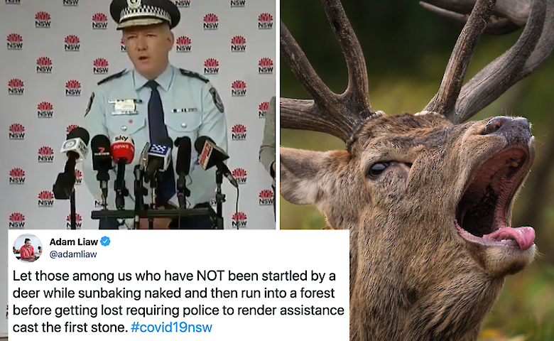Два голых австралийца потерялись в заповеднике - их напугал олень. ФОТО