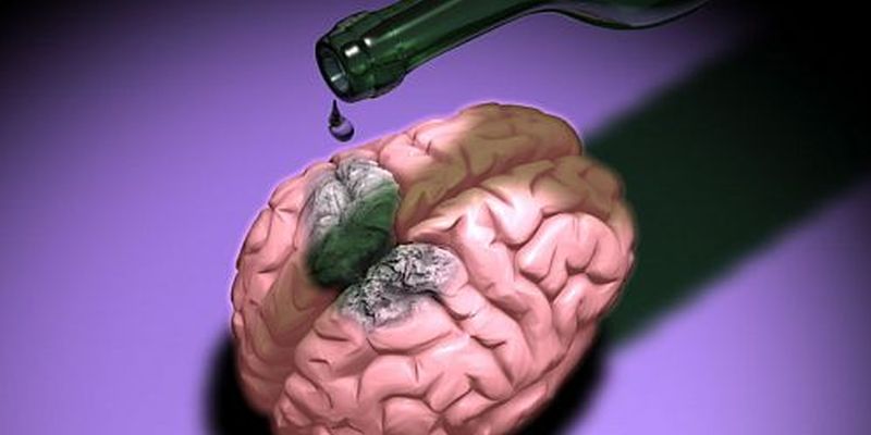 Заблуждение: алкоголь убивает клетки мозга