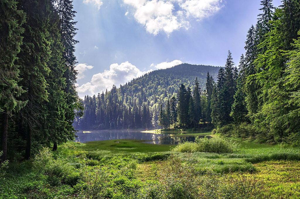 Лучшие озера Украины для путешествия на выходных. Фото