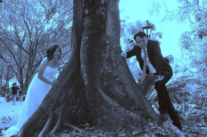 Как плохой фотограф испортил свадьбу молодоженам