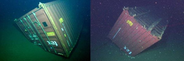 Интересные и немного пугающие снимки подводных объектов