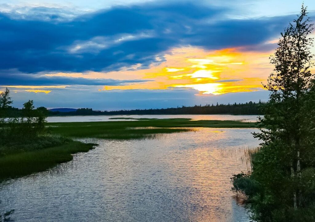 В Сети показали, как выглядит Лапландия летом. Фото