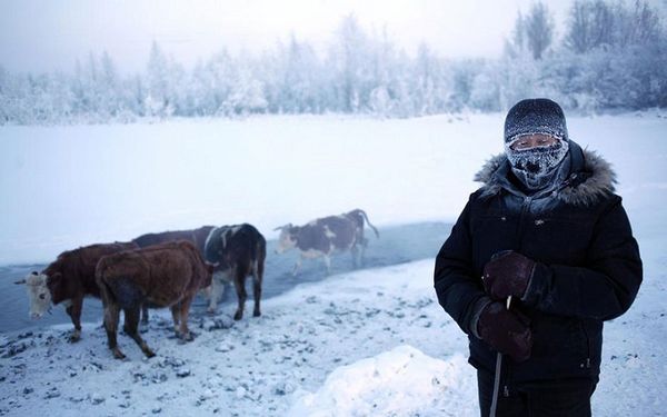 Самая холодная деревня в мире - как люди живут при температуре -67,7°. Фото