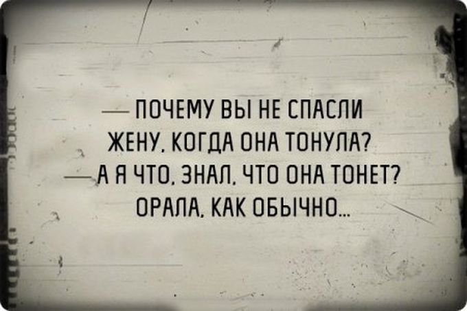 \"Бобер, увидев охотника, опознал на его голове пропавшего деда\", - подборка приколов