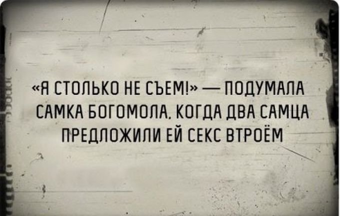 \"Бобер, увидев охотника, опознал на его голове пропавшего деда\", - подборка приколов