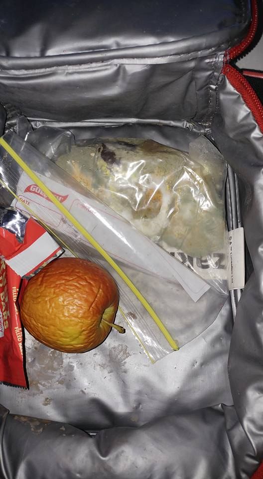 Родители хвастаются едой, забытой их детишками в школьных рюкзаках