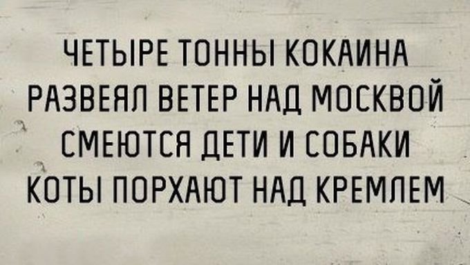 \"Вы замечательная девушка! Для меня честь испортить вам жизнь!\"  - подборка приколов