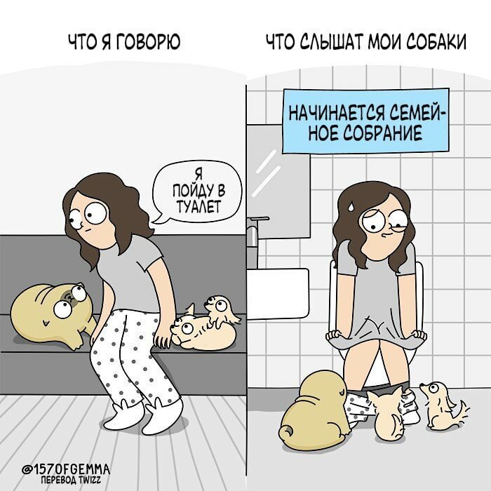 Очаровательные комиксы о жизни с мопсом (ФОТО)