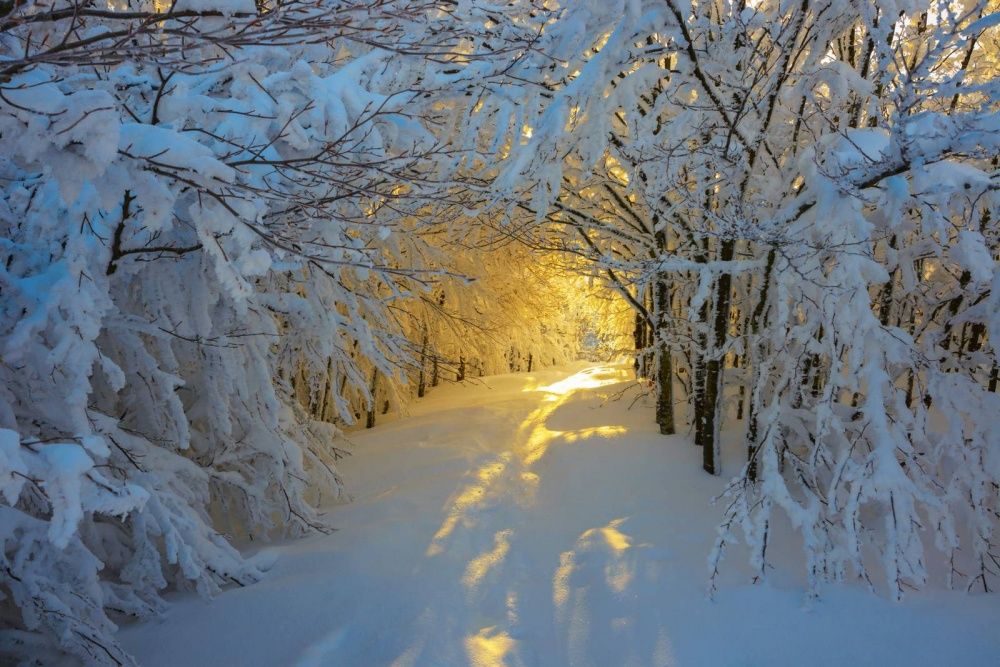 Места со сказочной зимой, которая никогда не кончается (ФОТО)