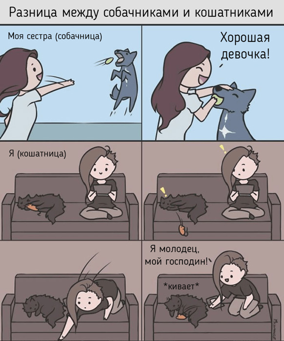 Милые комиксы об одноглазом коте Нильсе (ФОТО)