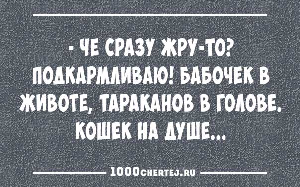 Подборка превосходных анекдотов в карточках (ФОТО)