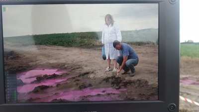 Вблизи Ровно появились лужи розового цвета (ВИДЕО)