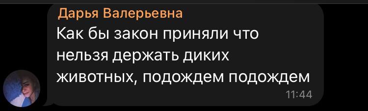 В Одессе в автомобиле проехался леопард