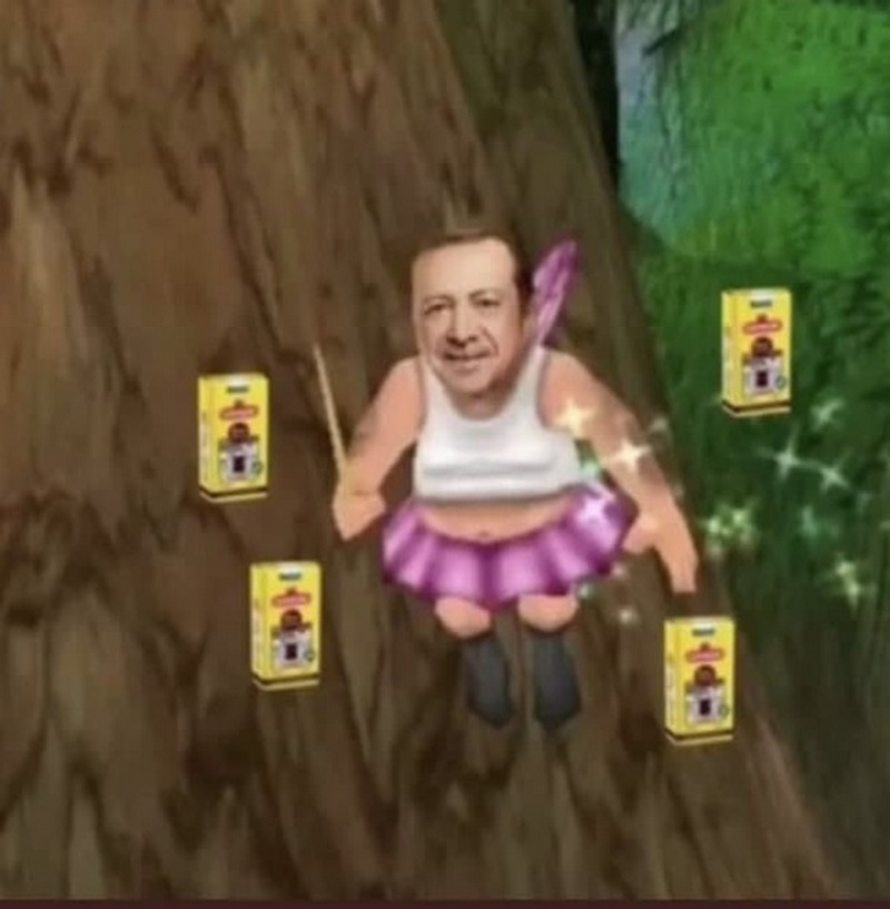 Эрдогана высмеяли мемами из-за его выходки с чаем