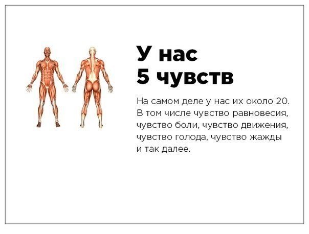 10 мифов из интернета, выдаваемых за правду