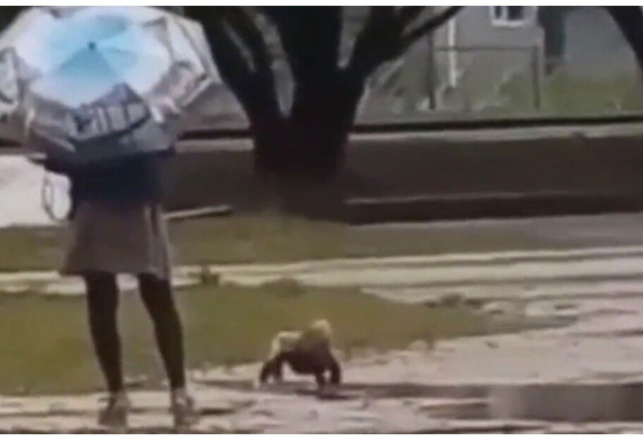 В России женщина выгуляла ребенка в луже в одних подгузниках (видео)