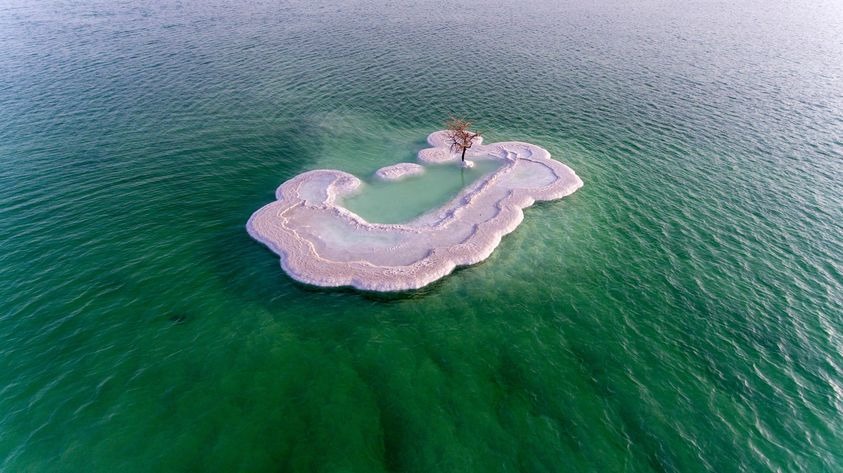 Дерево жизни - одинокое растение посреди Мертвого моря