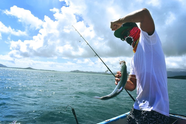 Daiwa — лидер в производстве снастей для рыбалки