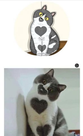 Художник «освежил» популярные мемы с котами (ФОТО)