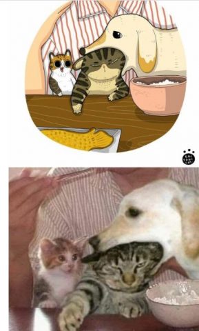 Художник «освежил» популярные мемы с котами (ФОТО)