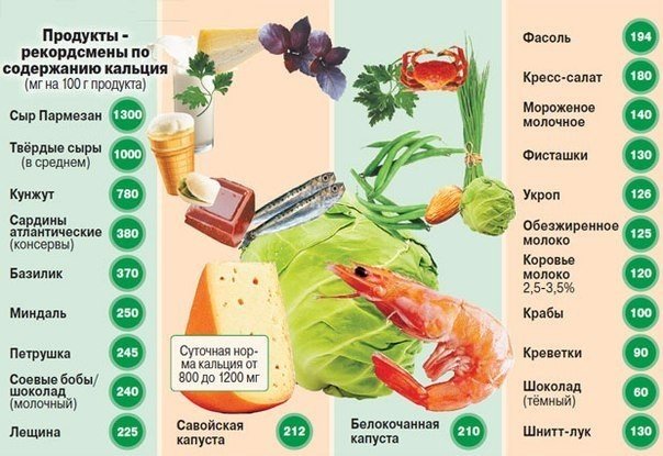 Продукты Рекордсмены По Содержанию Кальция