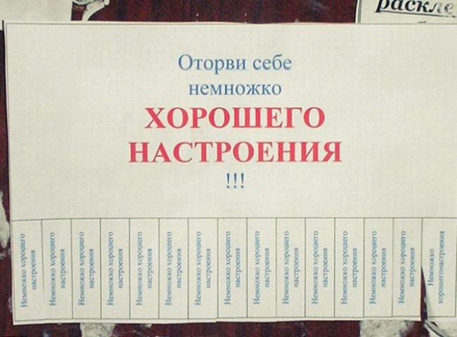 \"Грустно? Возьми танцующего кабанчика!\". Самые добрые объявления