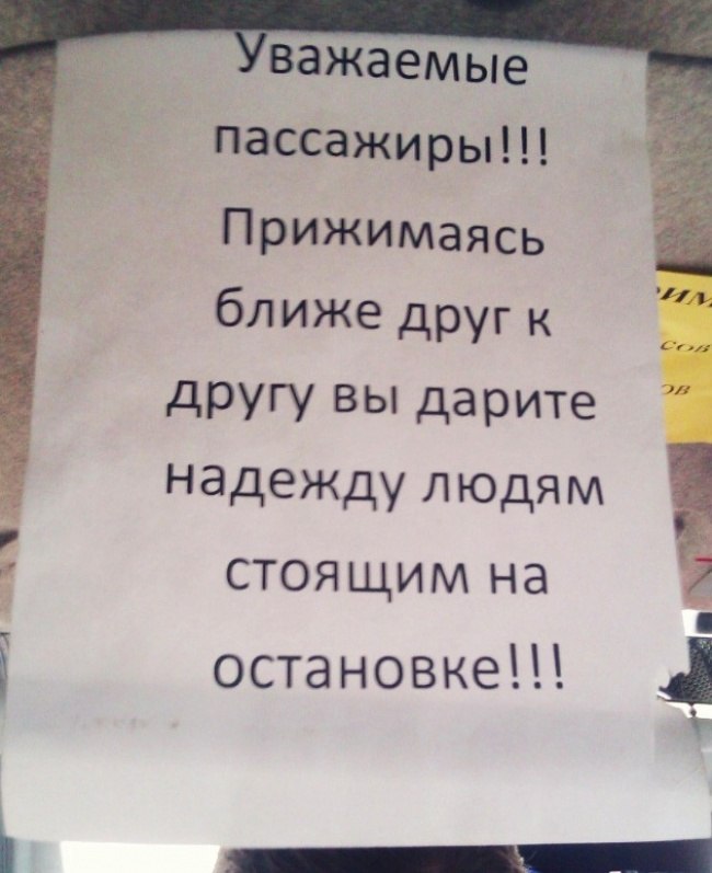 \"Грустно? Возьми танцующего кабанчика!\". Самые добрые объявления