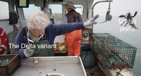 Старушка из США выбросила омара в море и стала героиней мемов: собрали лучшие для вас (ФОТО)