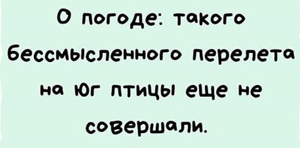 Смешные картинки из сети (ФОТО)