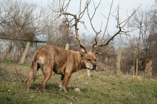 Немного забавных снимков из серии показалось