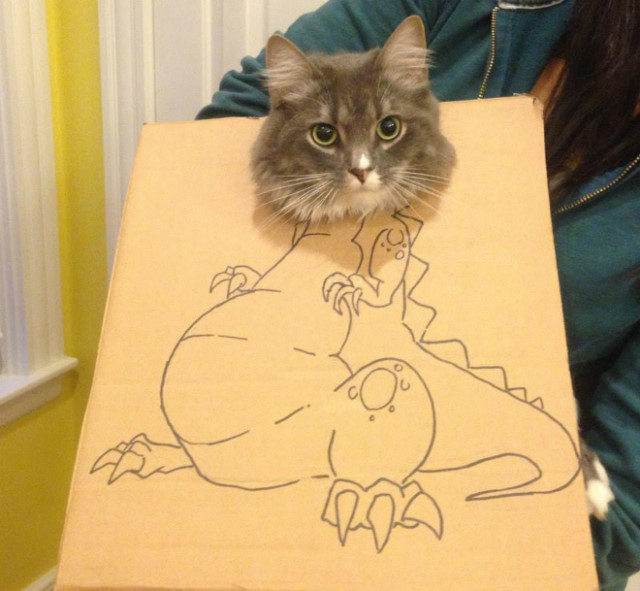 Что происходит, когда у креативных владельцев кошек есть картон (фото)