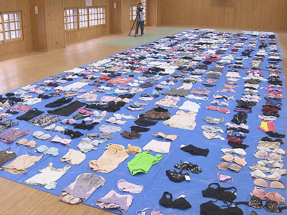 Мужчина украл более 700 предметов женского белья
