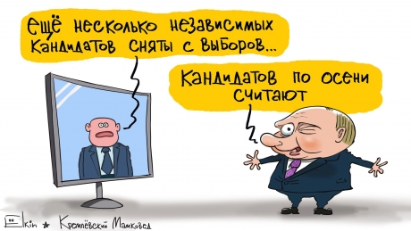 Курьез: в Сети появилась новая карикатура про выборы в России (ФОТО)