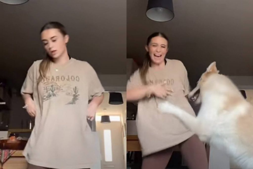 Смешная реакция пса на танцы хозяйки попала на видео