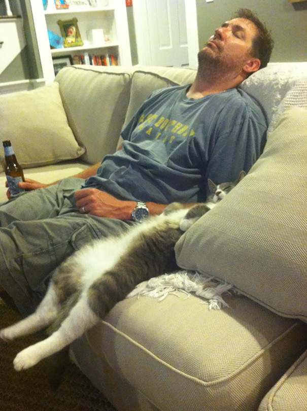 Забавные фотодоказательства того, что коты могут уснуть где угодно (ФОТО)